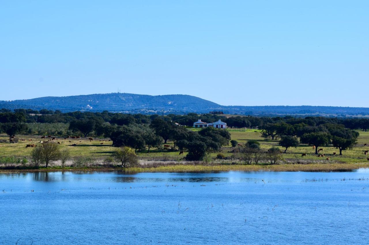 Herdade Da Burquilheira Family Retreat Alcáçovas Exteriör bild