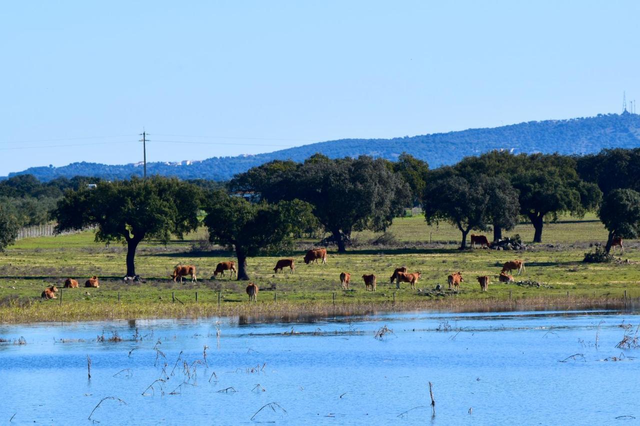 Herdade Da Burquilheira Family Retreat Alcáçovas Exteriör bild