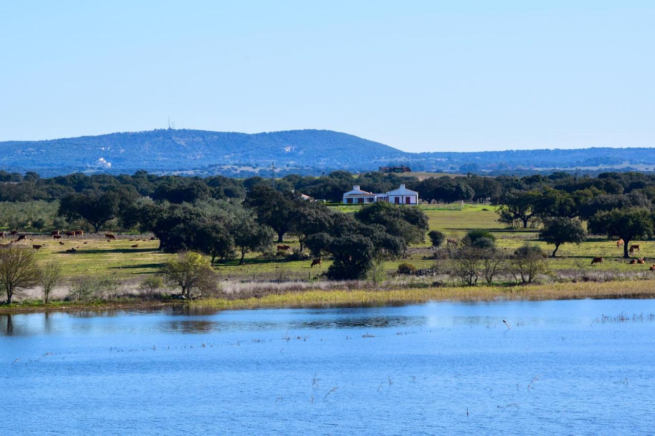 Herdade Da Burquilheira Family Retreat Alcáçovas Exteriör bild