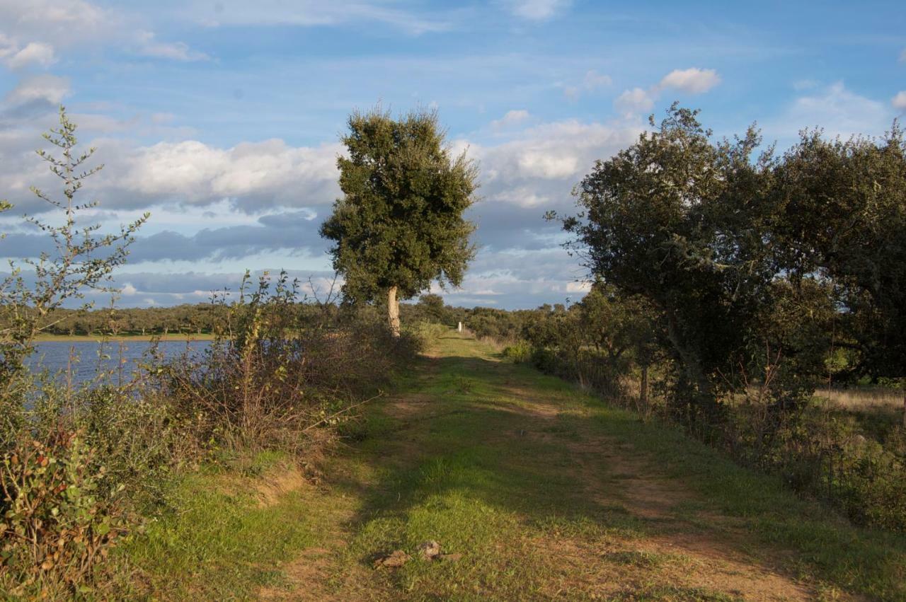 Herdade Da Burquilheira Family Retreat Alcáçovas Exteriör bild