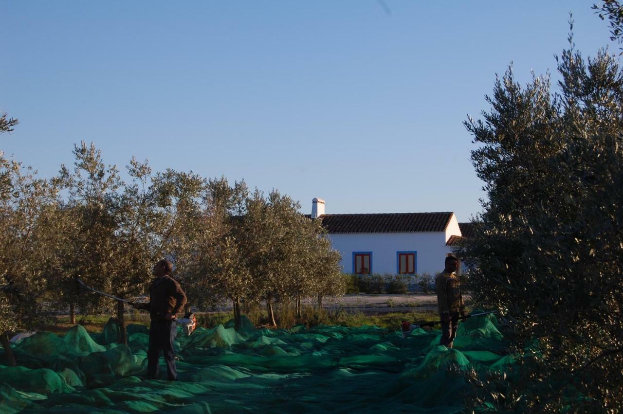 Herdade Da Burquilheira Family Retreat Alcáçovas Exteriör bild